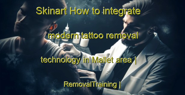 Skinart How to integrate modern tattoo removal technology in Mallet area | RemovalTraining | RemovalClasses | SkinartTraining-France